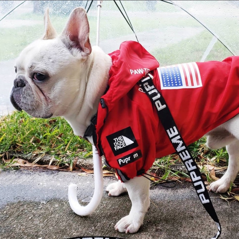 Pet Clothes Dog Windbreaker Hoodie Jacket Medium